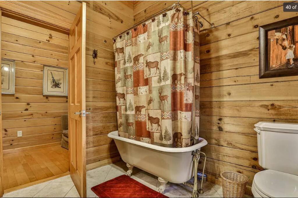 Blue Ridge Bliss- Spacious Cabin, Pets, Hot Tub! 외부 사진