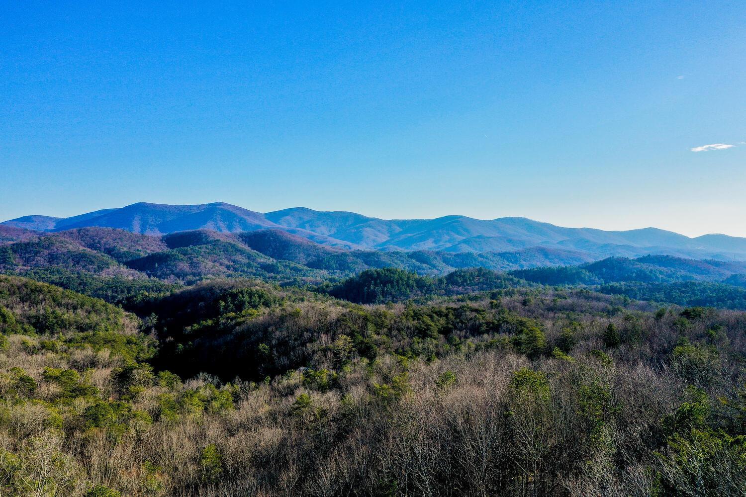 Blue Ridge Bliss- Spacious Cabin, Pets, Hot Tub! 외부 사진